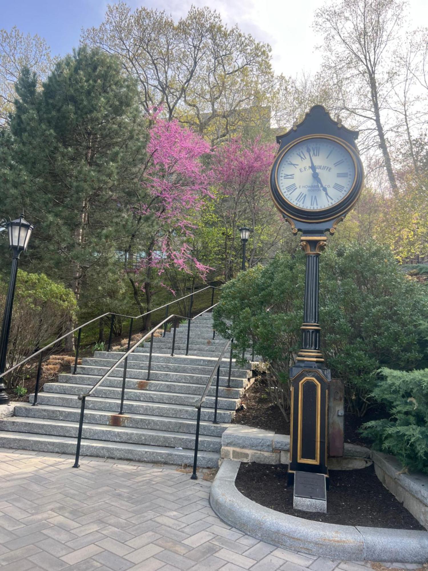 Gorgeous 5 Bedroom Boston Home Chestnut Hill المظهر الخارجي الصورة